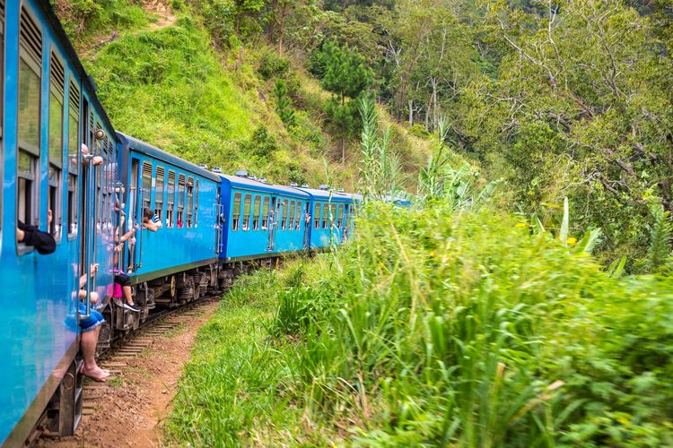 Das Bild zeigt einen blauen Zug, der durch die Hügellandschaft von Nuwara Eliya, Sri Lanka fährt. Die Arme und Beine einiger Passagiere hängen aus dem Zug heraus.