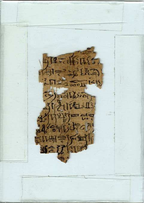 enlarge the image: Papyrus fragment with hieratic text in the Detroit Public Library (© Burton Historical Collection, Detroit Public Library, 5201 Woodward Ave., Detroit, MI 48202)