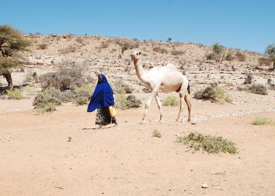 Eine Frau mit Kanister in der Hand und Kamel an der Leine geht durch eine trockene Gegend.