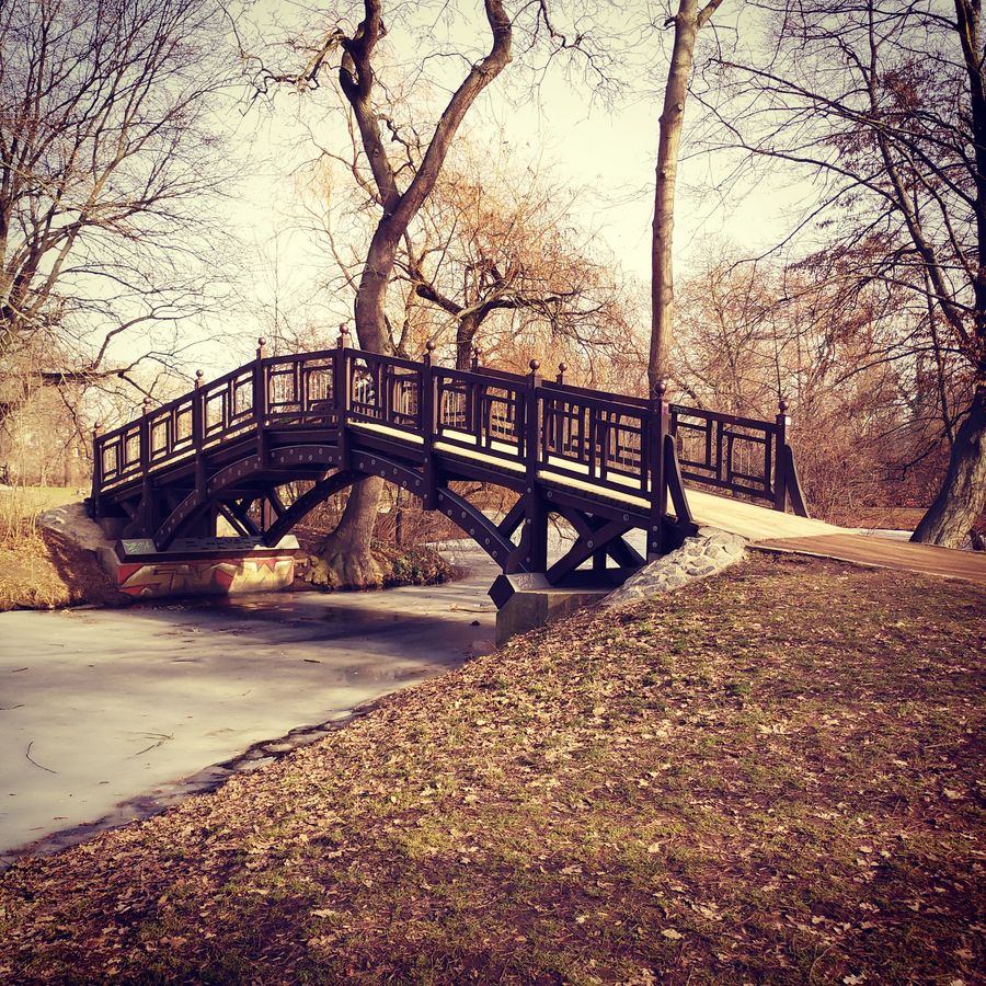 Romantisch anmutende Holzbrücke im Clara-Zetkin-Park Leipzig. Der Boden ist mit Laub bedeckt.