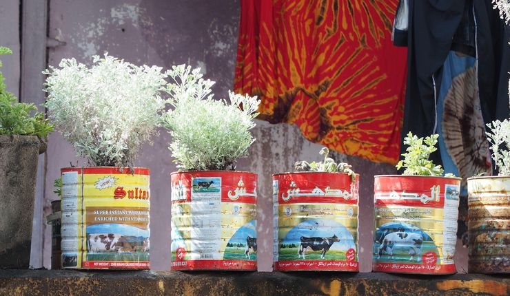 Ansicht von wiederverwerteten Milchpulver Dosen, die nun als Blumentöpfe auf einer Veranda in Sansibar Stone Town fungieren.